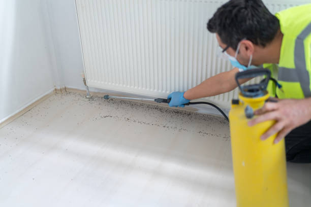 Best Affordable Pest Control Services  in Summerfield, NC